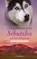 Ross, C: Schutzlos am Red Mountain, ROSS,  Christopher - Gebonden - 9783764170387