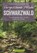 Vergessene Pfade Schwarzwald, Lars Freudenthal ; Annette Freudenthal - Paperback - 9783765468032