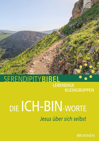 Die Ich-bin-Worte, Frank Grundmüller - Paperback - 9783765508257
