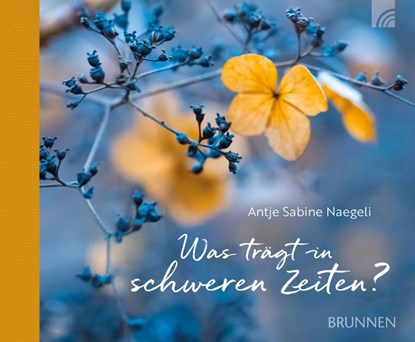 Was trägt in schweren Zeiten?, Antje Sabine Naegeli - Gebonden - 9783765532481