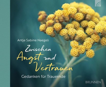 Zwischen Angst und Vertrauen, Antje Sabine Naegeli - Gebonden - 9783765532955