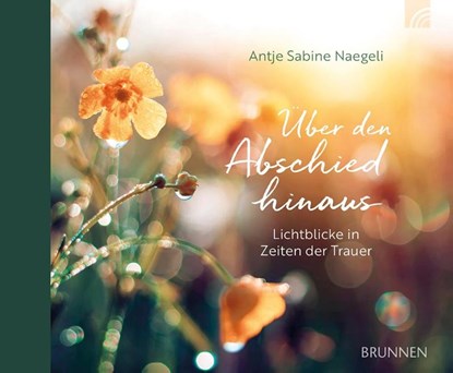 Über den Abschied hinaus, Antje Sabine Naegeli - Gebonden - 9783765533228