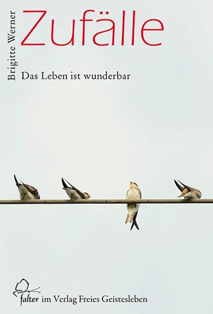 Zufälle, Brigitte Werner - Paperback - 9783772525452