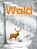 Versteckt im Wald, Philippe Jalbert - Gebonden - 9783772531989