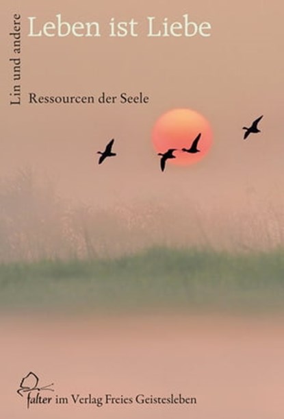 Leben ist Liebe, Andreas Altmann ; Frank Berger ; Arnica Esterl ; Jörg Ewertowski ; Ruth Ewertowski ; Dieter Hornemann ; Andreas Laudert ; Jean-Claude Lin ; Walther Streffer ; Brigitte Werner - Ebook - 9783772542473