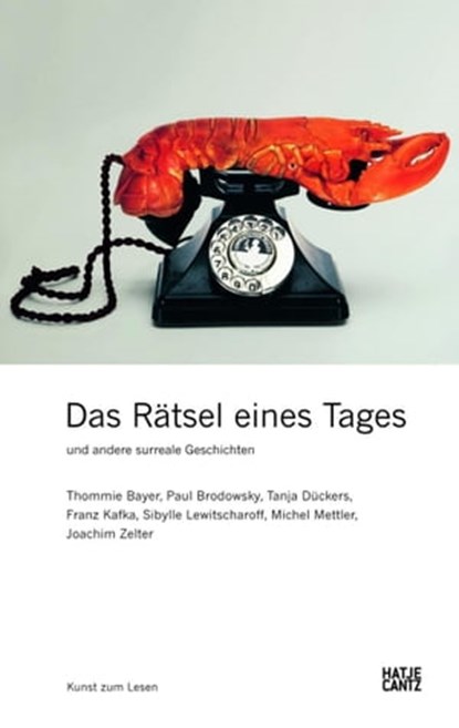 Das Rätsel eines Tages und andere surreale Geschichten, Thommie Bayer ; Paul Brodowsky ; Tanja Dückers ; Franz Kafka ; Sibylle Lewitscharoff ; Michel Mettler ; Joachim Zelter - Ebook - 9783775730136