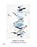 Rebecca Horn (German Edition), niet bekend - Gebonden - 9783775738880