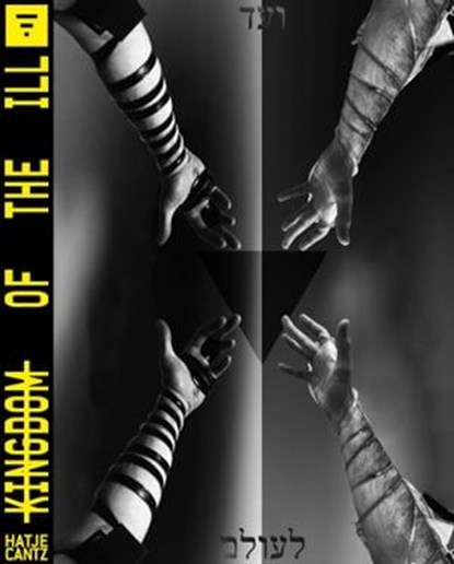 Kingdom of the Ill, Bart van der Heide ; Amy Berkowitz ; Sara Cluggish ; Lynn Hershman Leeson ; Lioba Hirsch ; Mary Maggic ; Artur Olesch ; Pavel Pys ; P. Staff ; Studio Mut - Ebook - 9783775754217