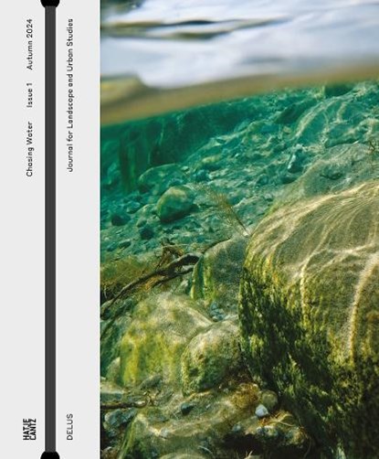 DELUS: Issue 1, Sara Frikech ; Johanna Just - Paperback - 9783775758741