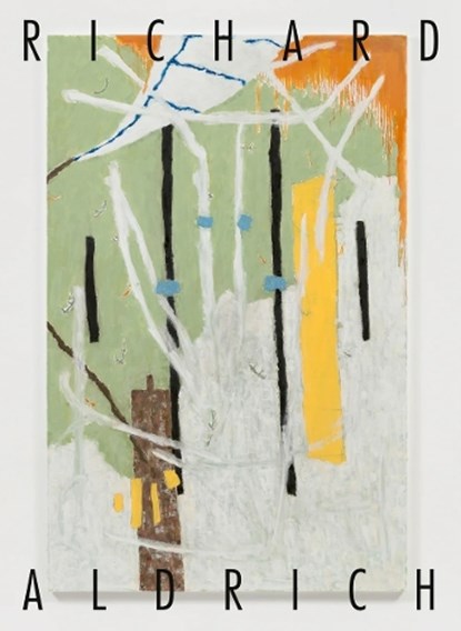 Richard Aldrich: monograph, Rob Spragg ; Richard Aldrich - Gebonden - 9783775761246