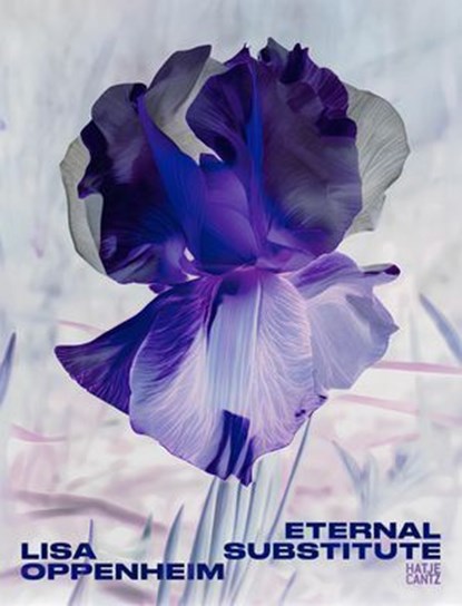 Lisa Oppenheim: The Eternal Substitute, Lauren Cornell ; Darsie Alexander ; Jacob Proctor ; Bettina Steinbrügge - Ebook - 9783775761628