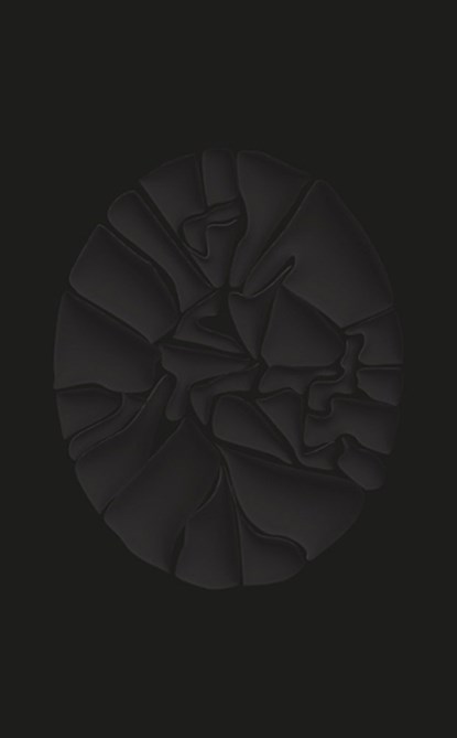 Haegue Yang. The Great Forgetfulness, Fergal Gaynor ; Haegue Yang - Gebonden - 9783775762625