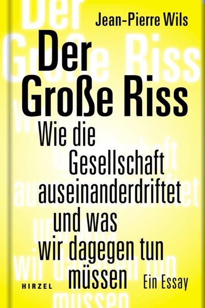 Der Große Riss, Jean-Pierre Wils - Gebonden - 9783777629186