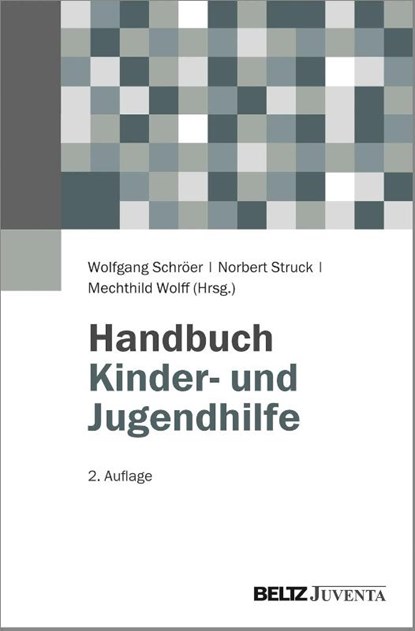Handbuch Kinder- und Jugendhilfe, Wolfgang Schröer ; Norbert Struck ; Mechthild Wolff - Gebonden - 9783779931249