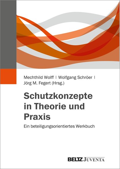 Schutzkonzepte in Theorie und Praxis, Mechthild Wolff ;  Wolfgang Schröer ;  Jörg M. Fegert - Paperback - 9783779934707