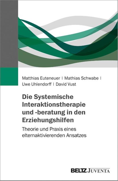 Die Systemische Interaktionstherapie und -beratung in den Erziehungshilfen, Matthias Euteneuer ; Mathias Schwabe ; Uwe Uhlendorff ; David Vust - Paperback - 9783779961864