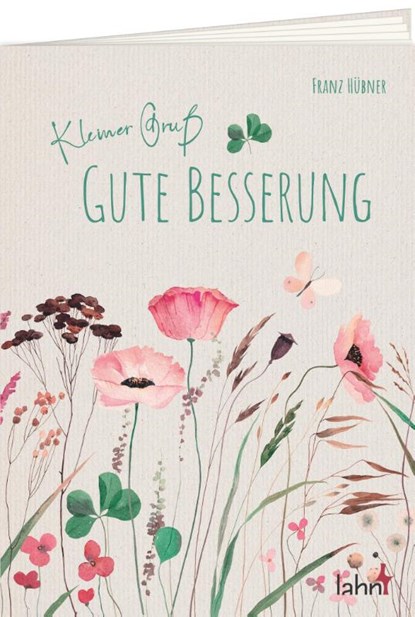 Kleiner Gruß - Gute Besserung, Franz Hübner - Gebonden - 9783784079530