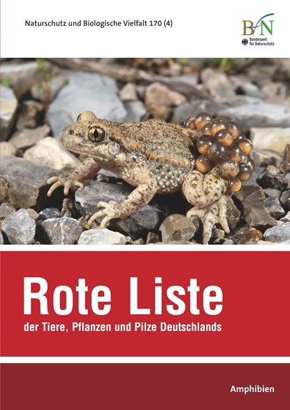 NaBiV Heft 170/4 Rote Liste der Tiere, Pflanzen und Pilze Deutschlands - Amphibien, Bundesamt Für Naturschutz - Paperback - 9783784337746