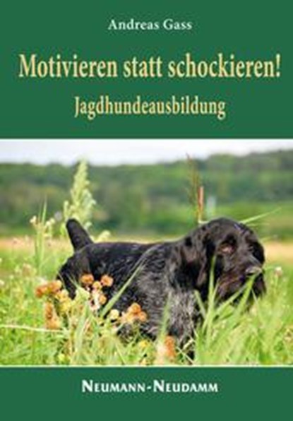 Motivieren statt schockieren!, Andreas Gass - Gebonden - 9783788815073