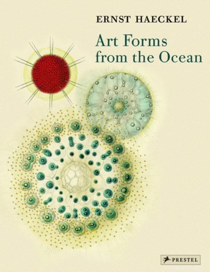 Art Forms from the Ocean, Olaf Breidbach - Paperback - 9783791333274