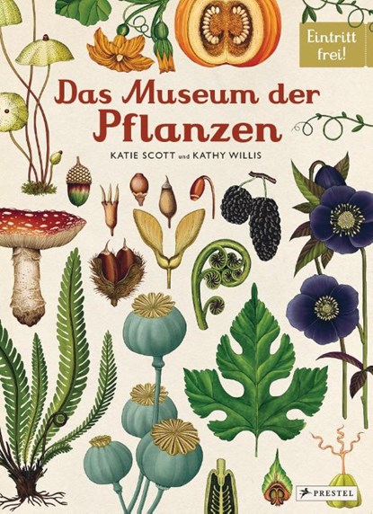 Das Museum der Pflanzen, Katie Scott ; Kathy Willis - Gebonden - 9783791372662