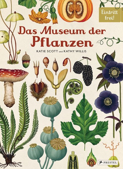 Das Museum der Pflanzen, Katie Scott ;  Kathy Willis - Gebonden - 9783791372662