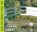 Claude Monet, Doris Kutschbach - Gebonden - 9783791373416