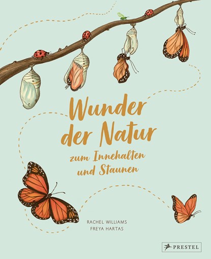 Wunder der Natur zum Innehalten und Staunen, Rachel Williams ;  Freya Hartas - Gebonden - 9783791374475