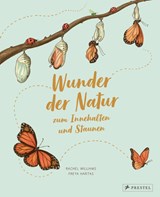 Wunder der Natur zum Innehalten und Staunen - Rachel Williams ; Freya Hartas - 9783791374475