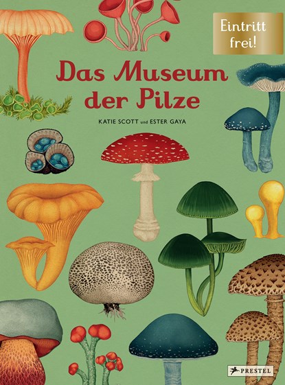 Das Museum der Pilze, Ester Gaya ;  Katie Scott - Gebonden - 9783791374529