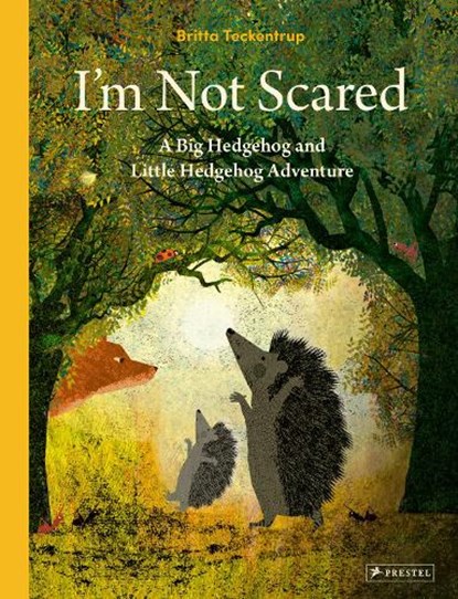 I'm Not Scared, Britta Teckentrup - Gebonden - 9783791375410