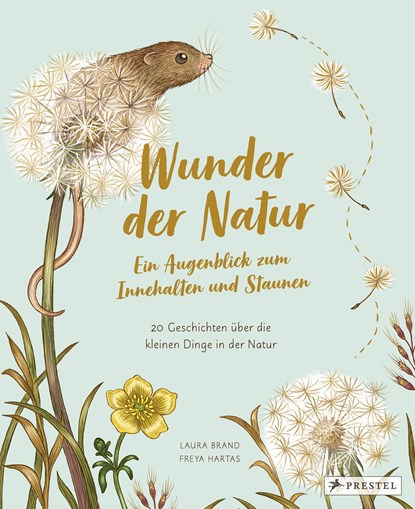 Wunder der Natur. Ein Augenblick zum Innehalten und Staunen, Laura Brand ;  Freya Hartas - Gebonden - 9783791375434
