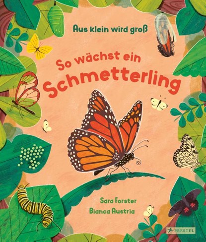 Aus klein wird groß. So wächst ein Schmetterling, Sara Forster ; Bianca Austria - Gebonden - 9783791376035