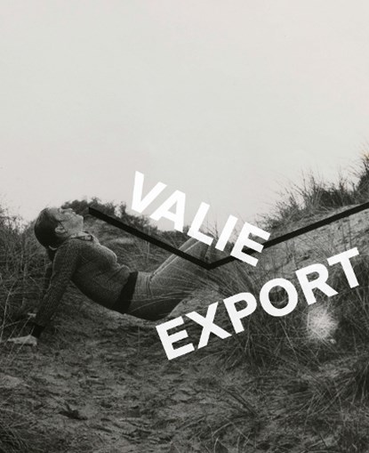 Valie Export, Walter Moser - Paperback - 9783791379623