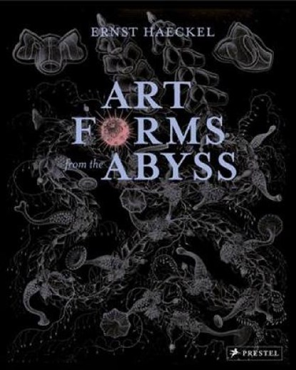 Art Forms from the Abyss, Peter J Le B Williams ; Dylan W. Evans ; David J Roberts ; David Thomas - Paperback - 9783791381411