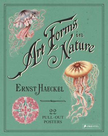 Ernst Haeckel: Art Forms in Nature: 22 Pull-Out Posters, ,Ernst Haeckel - Paperback - 9783791382630