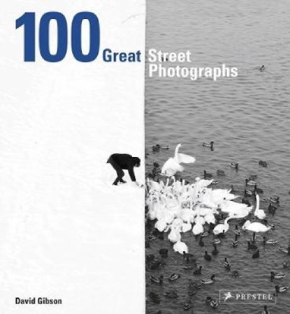 100 Great Street Photographs, David Gibson - Gebonden Gebonden - 9783791383132