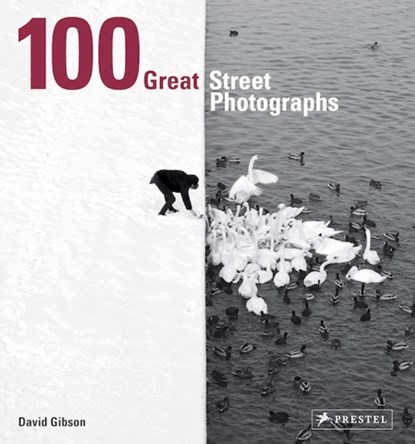 100 Great Street Photographs, David Gibson - Paperback - 9783791384382