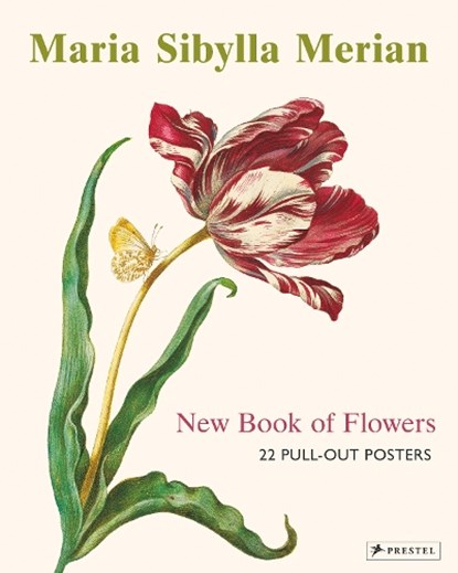 Maria Sibylla Merian, Prestel Publishing - Paperback - 9783791386003
