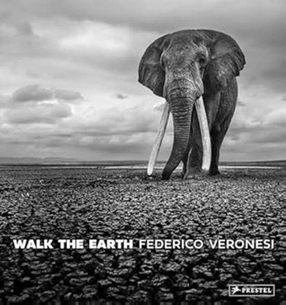 Walk the Earth, Federico Veronesi - Gebonden - 9783791393919