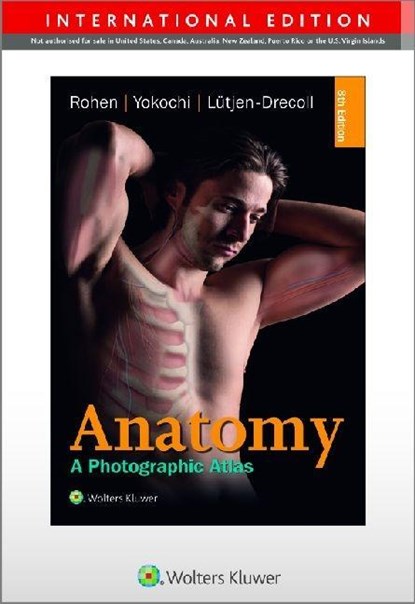 Anatomy, Johannes W. Rohen ; Chihiro M.D. Yokochi ; Elke Lutjen-Drecoll - Paperback - 9783794529827