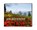 Am Bodensee, Rolf Zimmermann - Gebonden - 9783797705921