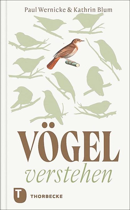 Vögel verstehen, Paul Wernicke ; Kathrin Blum - Gebonden - 9783799519786