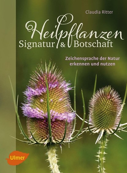 Heilpflanzen. Signatur und Botschaft, Claudia Ritter - Gebonden - 9783800103942
