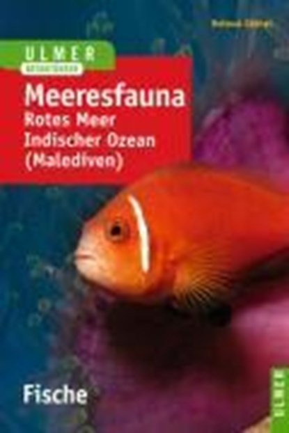 Meeresfauna. Fische, Helmut Göthel - Paperback - 9783800136766