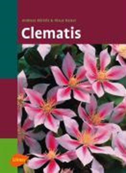 Clematis, Andreas Bärtels ; Klaus Kaiser - Gebonden - 9783800144082