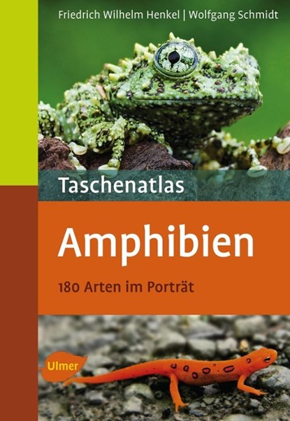 Taschenatlas Amphibien, Friedrich Wilhelm Henkel ; Wolfgang Schmidt - Paperback - 9783800151554