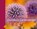 Grundkurs Gartendesign, John Brookes - Gebonden - 9783800154432