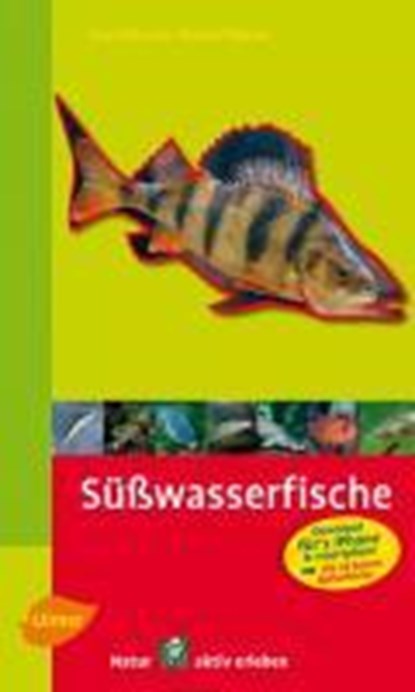 Steinbachs Naturführer Süßwasserfische, Uwe Hartmann - Paperback - 9783800159369