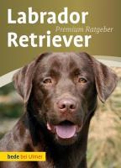Labrador Retriever, Annette Schmitt - Gebonden - 9783800167302